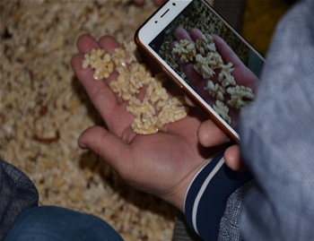 【河北】當(dāng)?shù)睾颂胰嗜テぴ囼?>
                        </div>
                        <div   id=