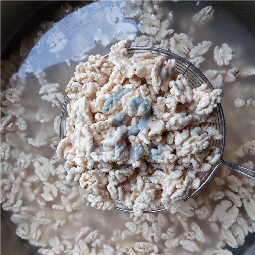 不用浸泡 2019新款核桃仁去皮機(jī)