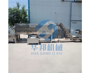 大型核桃仁去皮機(jī) 核桃仁脫皮加工流水線(xiàn)