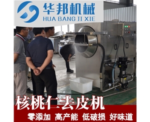 核桃仁去皮機 高壓噴淋沖洗去皮設(shè)備 核桃仁去皮的機器