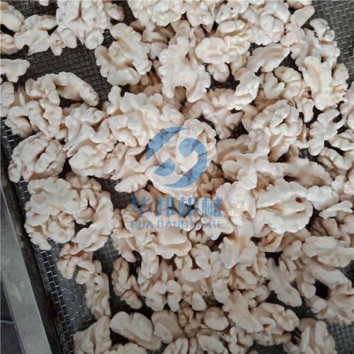 新一代 核桃仁脫衣機 2019報價