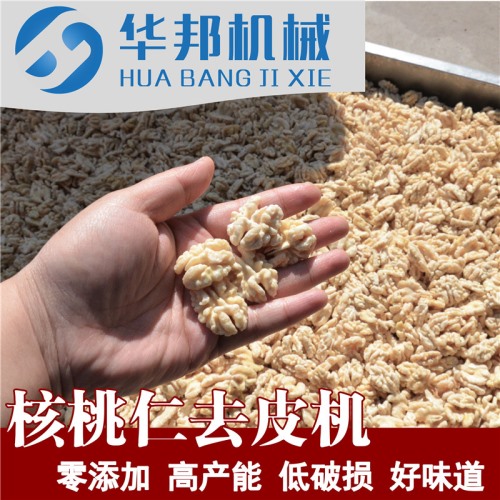 核桃仁去皮機(jī)  制作核桃粉需求設(shè)備 核桃仁脫皮機(jī)