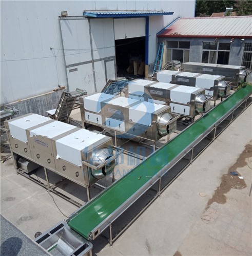 華邦核桃仁脫衣去皮機(jī) 損仁低 價(jià)值高