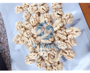 安全食用 核桃仁去皮機(jī)