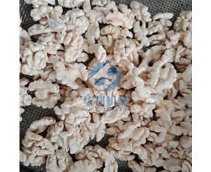 上門安裝 核桃仁去皮機(jī)