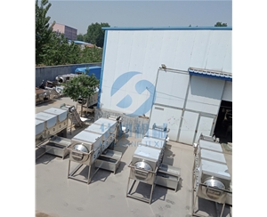 現(xiàn)場(chǎng)操作試機(jī) 核桃仁去皮機(jī)