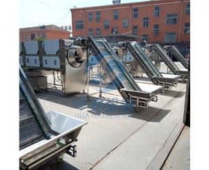 核桃仁去衣機 高壓水核桃仁去皮機