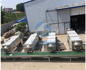 去皮散裝核桃仁脫皮機 效率高