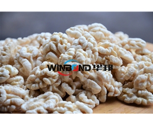 全國(guó)送貨 核桃仁去皮機(jī) 2021升級(jí)核桃仁脫皮機(jī)