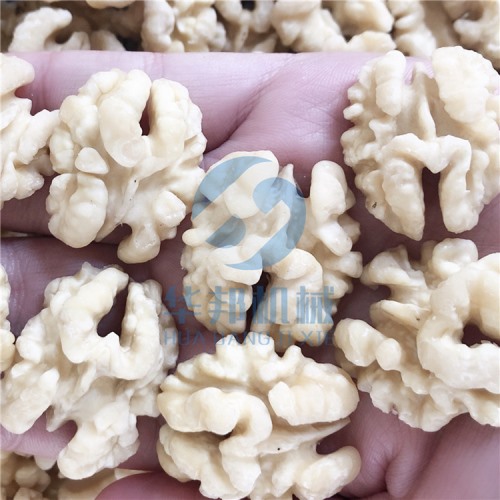 節(jié)水 核桃仁去皮機 2020新型核桃仁去皮機