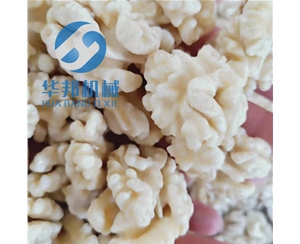 清水核桃仁去皮機(jī) 保鮮核桃仁去衣機(jī)