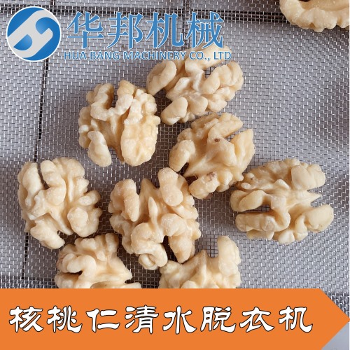節(jié)水 核桃仁去皮機(jī) 核桃仁脫皮機(jī)