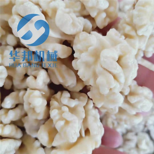 清水 核桃仁去皮機(jī)