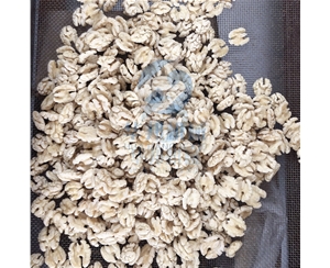 核桃仁去皮機(jī) 試用