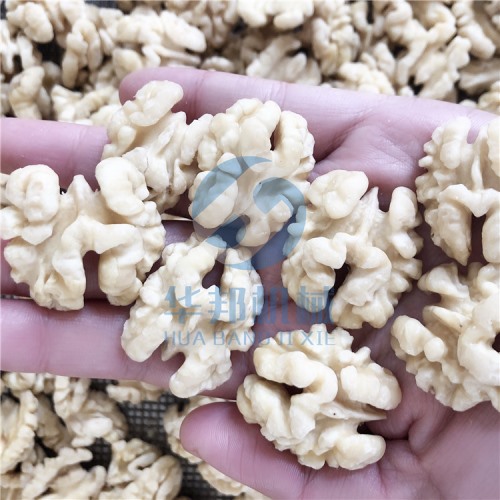 專(zhuān)利產(chǎn)品 核桃仁去皮機(jī)