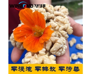 核桃仁去皮機(jī)廠家  華邦2020報(bào)價(jià)