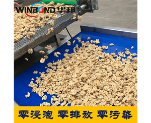 華邦核桃仁去皮清洗流水線 自動(dòng)化程度高