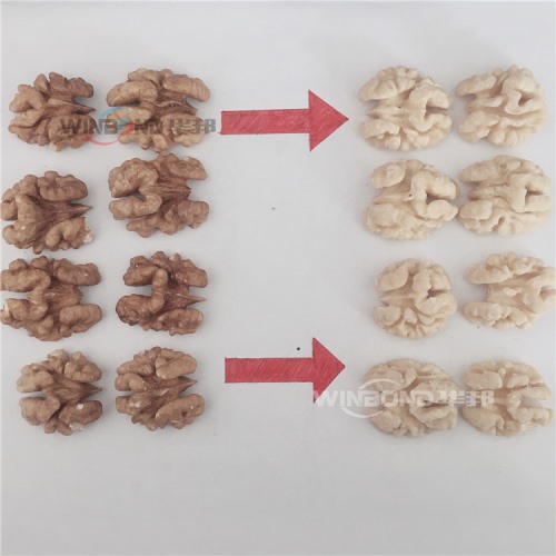 核桃仁去衣機(jī) 推薦華邦核桃仁去衣設(shè)備全自動(dòng) 省人工