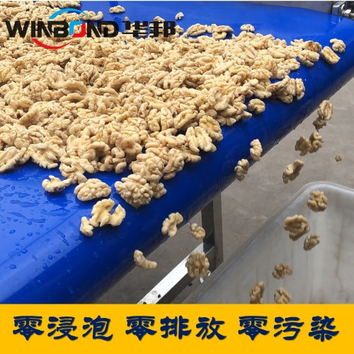 全自動核桃仁去皮機 華邦現(xiàn)場策劃 一鍵操作 
