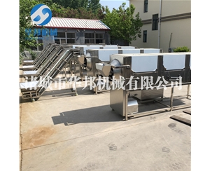 自動上料核桃仁去皮機 物理去皮機 連續(xù)操作