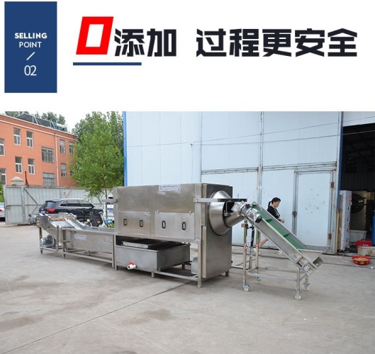 發(fā)貨上門 304核桃仁去皮機 純物理去皮機