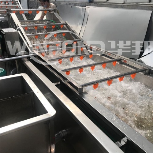 菌菇去雜清洗機(jī) 循環(huán)過(guò)濾 金針菇清洗設(shè)備