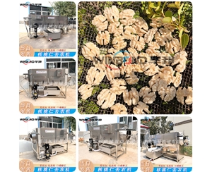 現(xiàn)貨直發(fā)核桃仁去衣機(jī) 全自動 去衣機(jī)設(shè)備